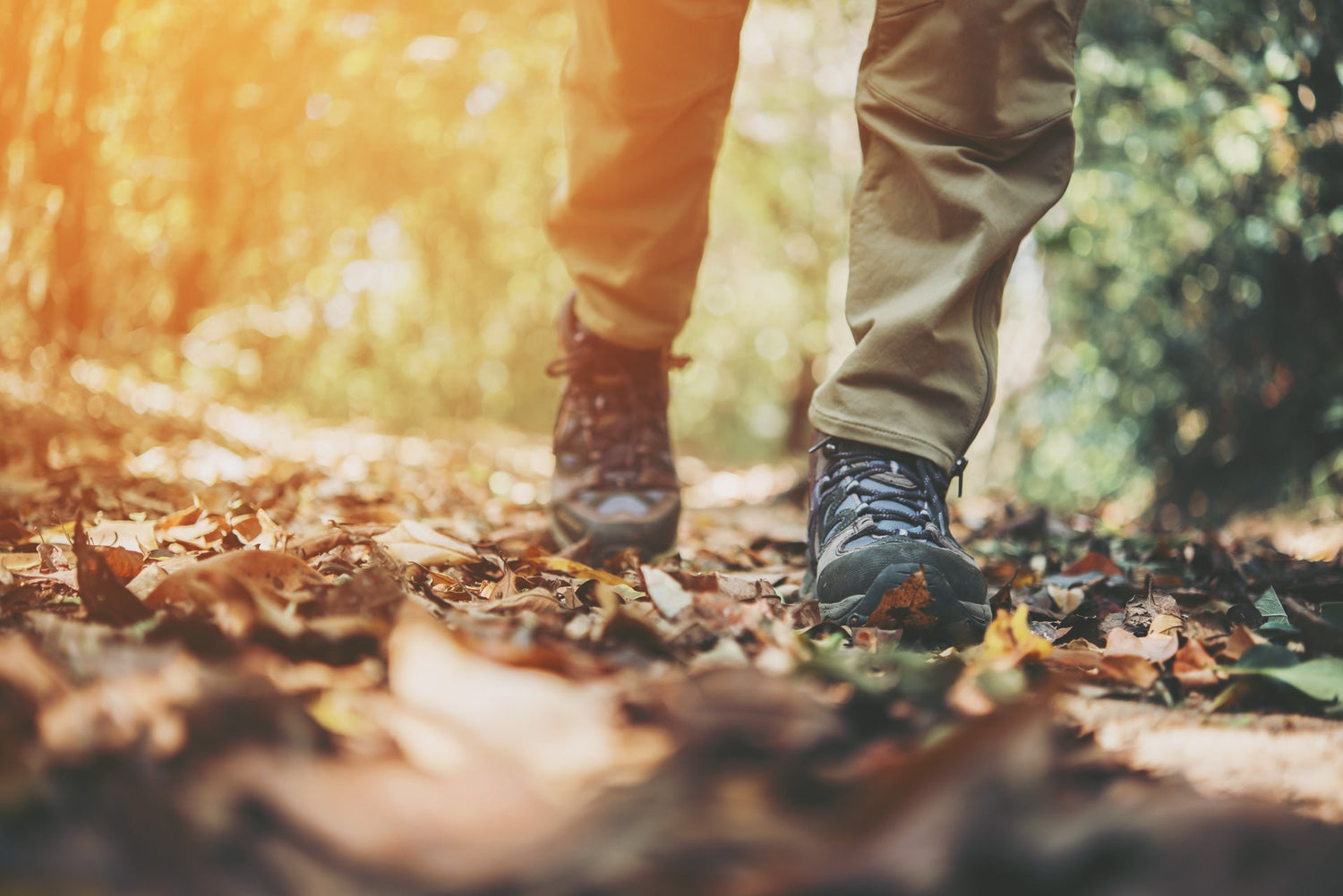 Steel & Hardy Footwear